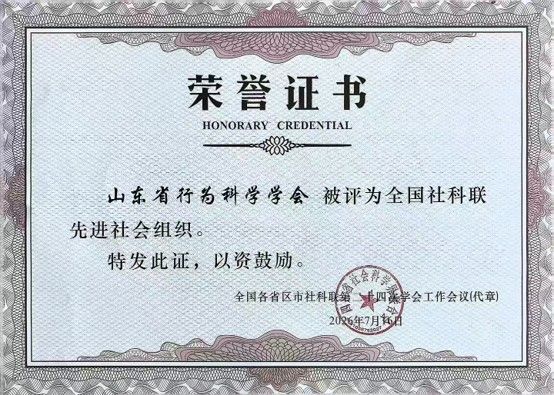 足球分析网站